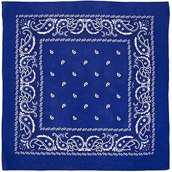 Amazon.com: Classic Blue Paisley Bandana - 20